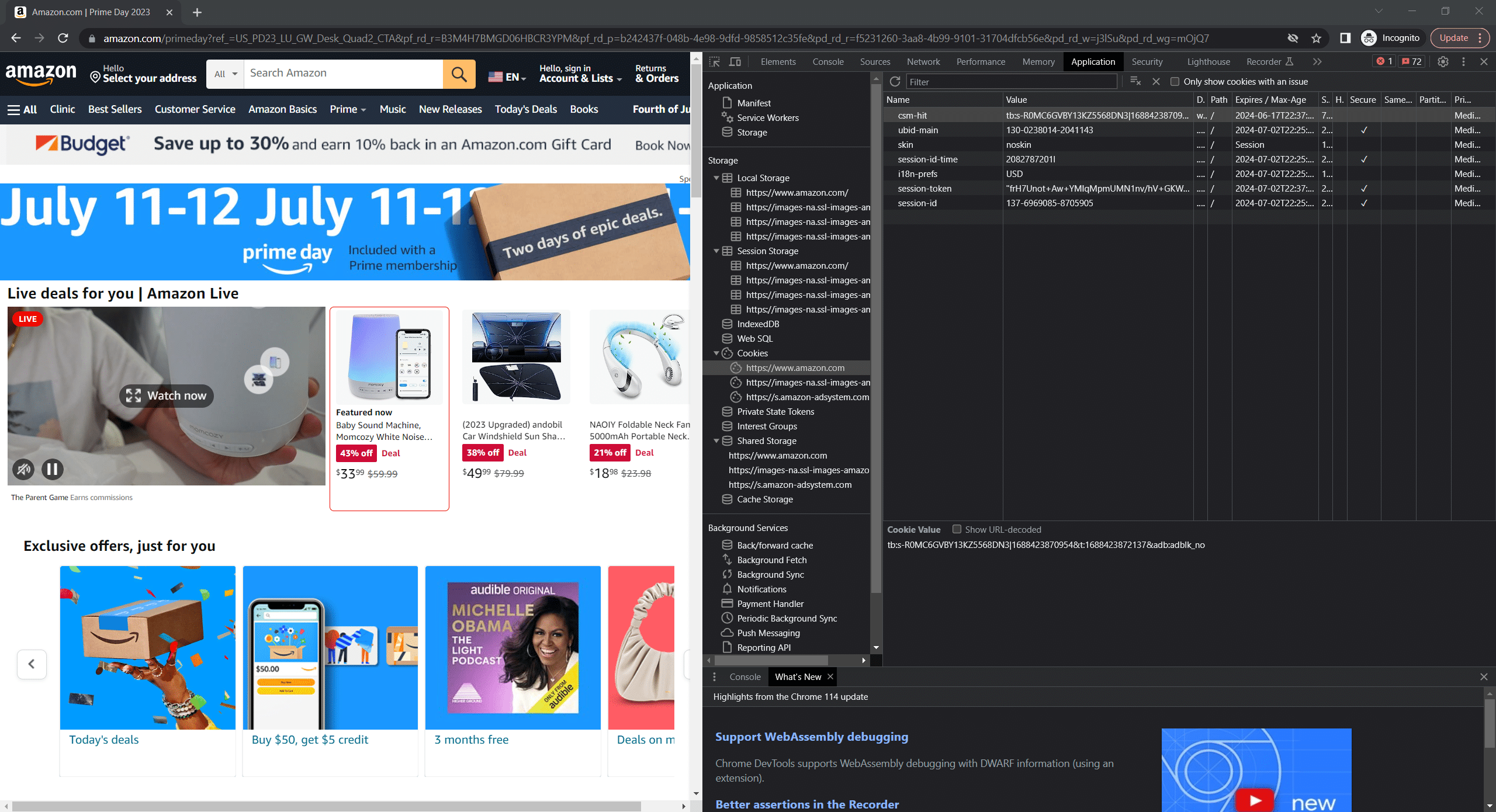 cookie-values-shown-on-amazon-prime-day-prep-page-in-chrome-incognito-window