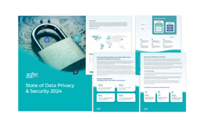 State of Data Privacy and Security 2024