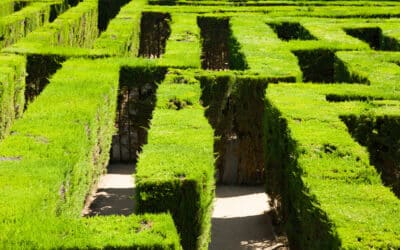 7 Strategies to Help Publishers Thrive in the Age of Walled Gardens