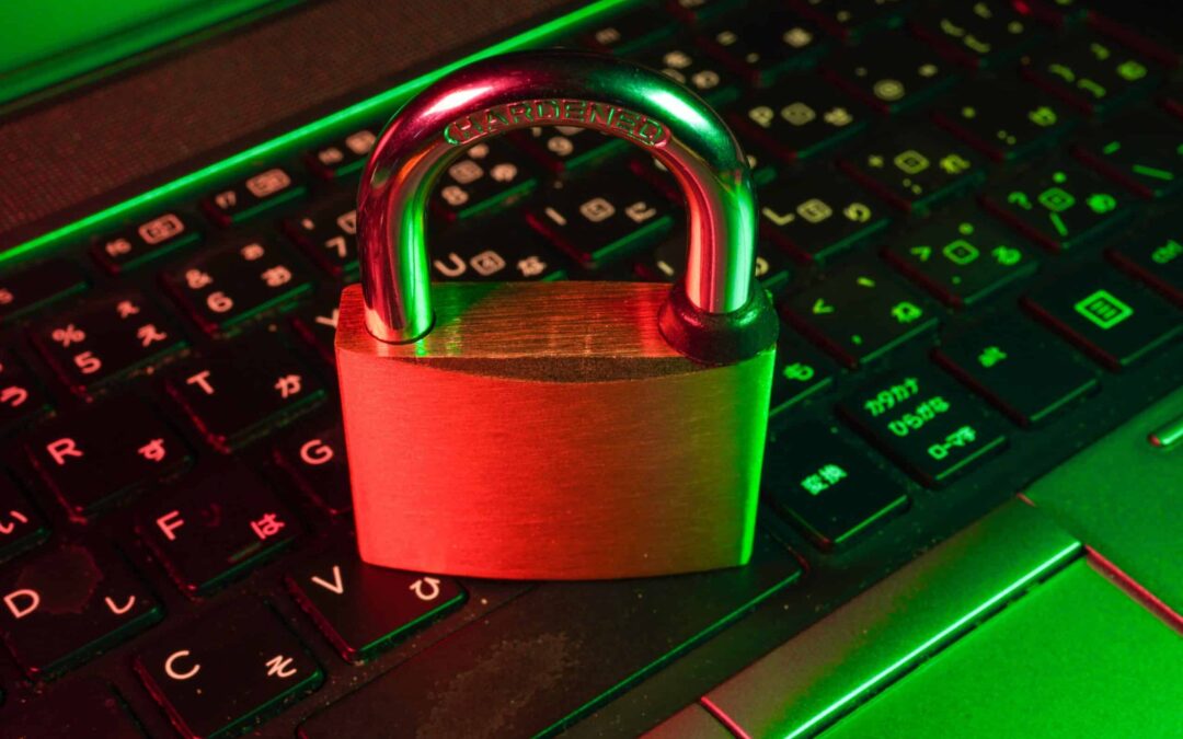 8 Data Security and Privacy Best Practices Infographic